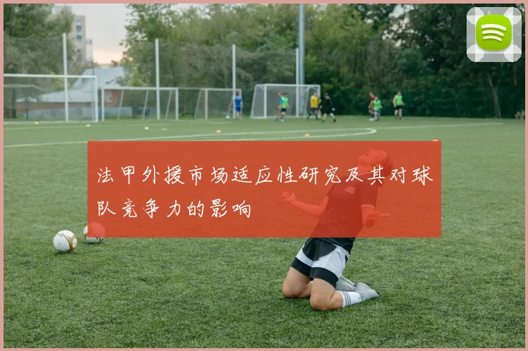 法甲外援市场适应性研究及其对球队竞争力的影响